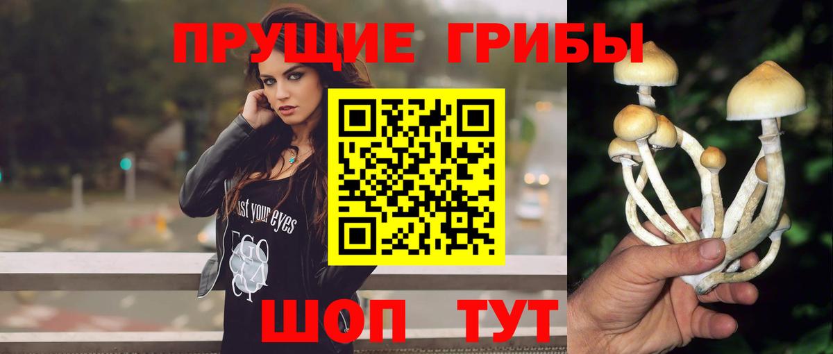 Галлюциногенные грибы мицелий  Вход с VPN  Ивантеевка 